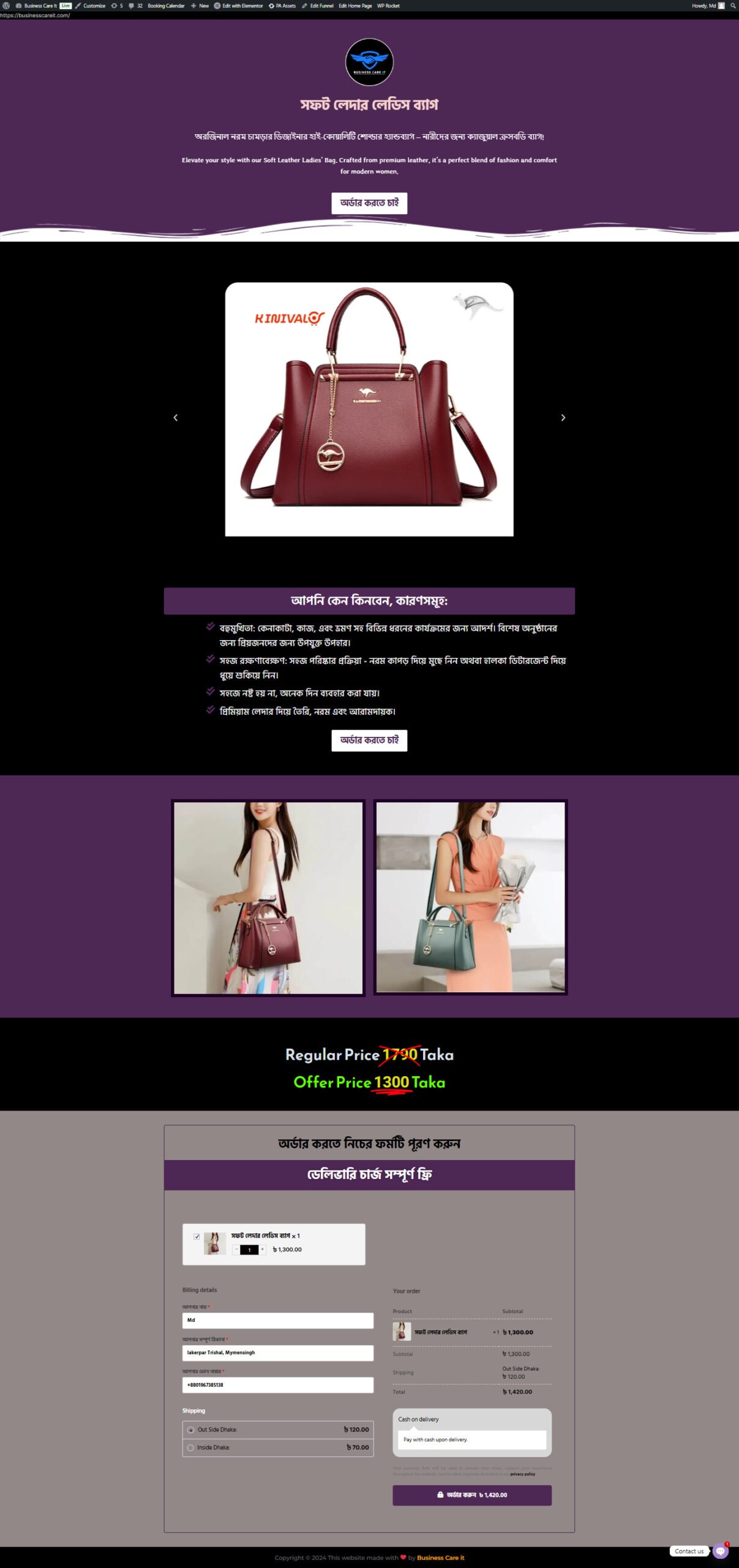 Ladice Bag Landing page design service